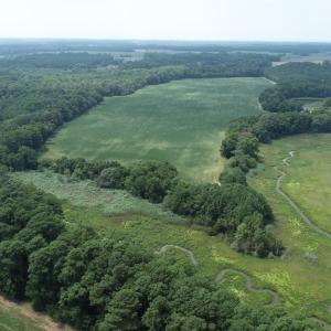 Photo #22 of #57,#154 METOMPKIN RD, PARKSLEY, VA 163.2 acres