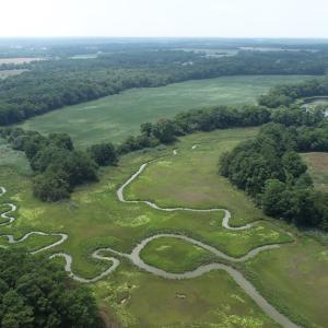 Photo #25 of #57,#154 METOMPKIN RD, PARKSLEY, VA 163.2 acres