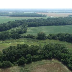Photo #29 of #57,#154 METOMPKIN RD, PARKSLEY, VA 163.2 acres