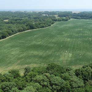 Photo #3 of #57,#154 METOMPKIN RD, PARKSLEY, VA 163.2 acres