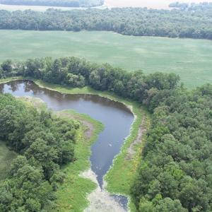 Photo #34 of #57,#154 METOMPKIN RD, PARKSLEY, VA 163.2 acres