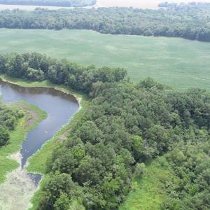Photo #35 of #57,#154 METOMPKIN RD, PARKSLEY, VA 163.2 acres