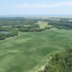 Photo #44 of #57,#154 METOMPKIN RD, PARKSLEY, VA 163.2 acres