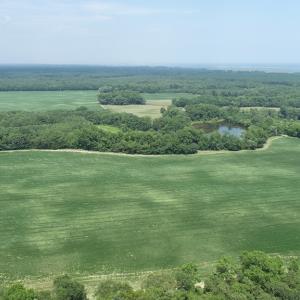 Photo #46 of #57,#154 METOMPKIN RD, PARKSLEY, VA 163.2 acres