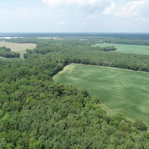Photo #48 of #57,#154 METOMPKIN RD, PARKSLEY, VA 163.2 acres