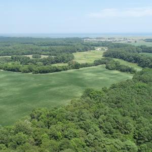 Photo #50 of #57,#154 METOMPKIN RD, PARKSLEY, VA 163.2 acres