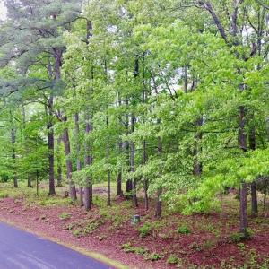 Photo #3 of 1 & 2 SERENITY LN, ONANCOCK, VA 2.7 acres