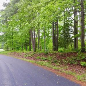 Photo #4 of 1 & 2 SERENITY LN, ONANCOCK, VA 2.7 acres