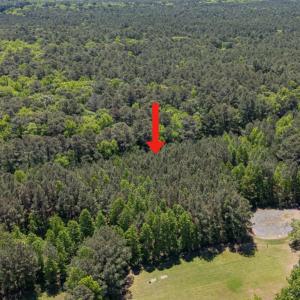 Photo #2 of Lot 5 PEACEFUL ACRES CT, JAMESVILLE, VA 4.2 acres
