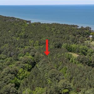 Photo #3 of Lot 5 PEACEFUL ACRES CT, JAMESVILLE, VA 4.2 acres