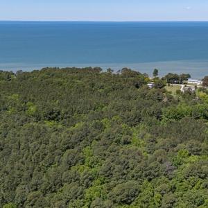 Photo #5 of Lot 5 PEACEFUL ACRES CT, JAMESVILLE, VA 4.2 acres