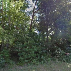 Photo #22 of Lot 1807 FRIGATE, GREENBACKVILLE, VA 0.3 acres