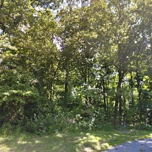 Photo #28 of Lot 1807 FRIGATE, GREENBACKVILLE, VA 0.3 acres