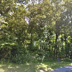 Photo #28 of Lot 1807 FRIGATE, GREENBACKVILLE, VA 0.3 acres