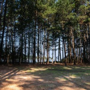 Photo #2 of Lot 1 BAILEY BEACH DR, ONANCOCK, VA 3.3 acres