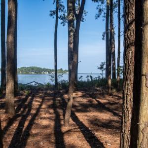 Photo #3 of Lot 1 BAILEY BEACH DR, ONANCOCK, VA 3.3 acres