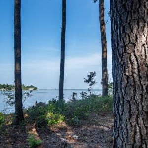 Photo #4 of Lot 1 BAILEY BEACH DR, ONANCOCK, VA 3.3 acres