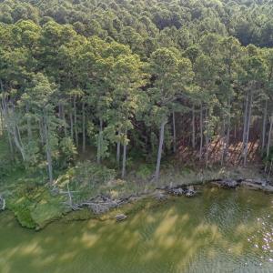 Photo #6 of Lot 1 BAILEY BEACH DR, ONANCOCK, VA 3.3 acres