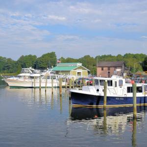 Wharf in Onancock
