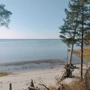Photo #6 of Lot 9 CEDAR GROVE DRIVE, PAINTER, VA 1.6 acres