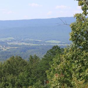 Photo #3 of WILDWOOD LN, SHENANDOAH, VA 1.9 acres