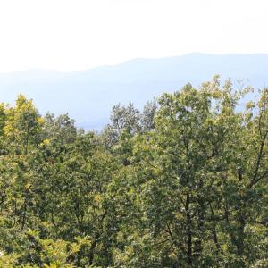 Photo #4 of WILDWOOD LN, SHENANDOAH, VA 1.9 acres