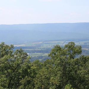 Photo #5 of WILDWOOD LN, SHENANDOAH, VA 1.9 acres