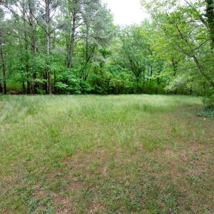 Photo #10 of Lot 26 HOLLY ST, ONANCOCK, VA 39.0 acres