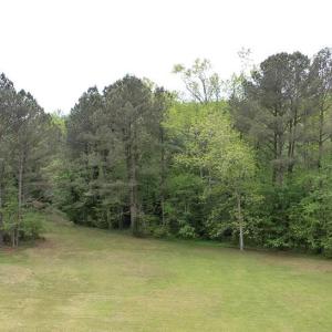 Photo #2 of Lot 26 HOLLY ST, ONANCOCK, VA 39.0 acres