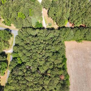 Photo #4 of Lot 1 ARGENTI PL, PAINTER, VA 1.2 acres