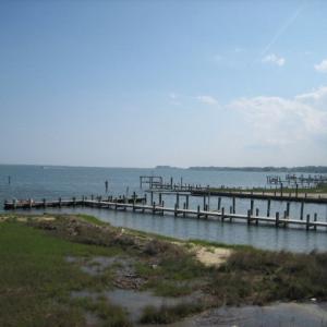 Photo #16 of 204 CAPTAINS CORRIDOR, GREENBACKVILLE, VA 65.0 acres