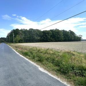 Photo #2 of 12345678 CULLS DR, CAPE CHARLES, VA 8.3 acres