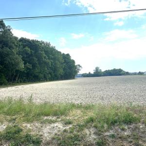 Photo #3 of 12345678 CULLS DR, CAPE CHARLES, VA 8.3 acres