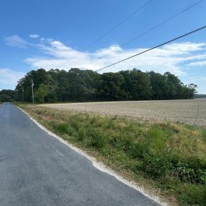 Photo #5 of 12345678 CULLS DR, CAPE CHARLES, VA 8.3 acres