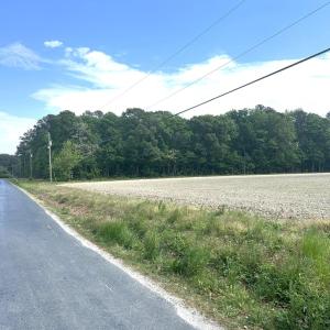 Photo #7 of 12345678 CULLS DR, CAPE CHARLES, VA 8.3 acres