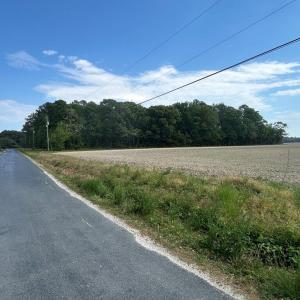 Photo #5 of 12345678 CULLS DR, CAPE CHARLES, VA 8.3 acres