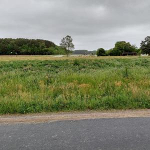 Photo #3 of LOT 3 INDIAN TRAIL RD, PAINTER, VA 2.4 acres