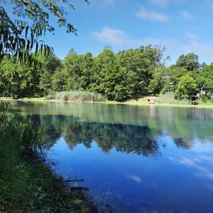 Photo #2 of Lot 1862 CAPTAINS CORRIDOR, GREENBACKVILLE, VA 16.0 acres