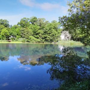 Photo #3 of Lot 1862 CAPTAINS CORRIDOR, GREENBACKVILLE, VA 16.0 acres