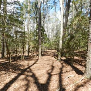 Photo #10 of Lot 1A WILSONIA SHORES DR, MACHIPONGO, VA 3.5 acres