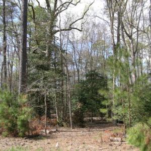 Photo #11 of Lot 1A WILSONIA SHORES DR, MACHIPONGO, VA 3.5 acres