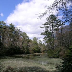 Photo #4 of Lot 1A WILSONIA SHORES DR, MACHIPONGO, VA 3.5 acres