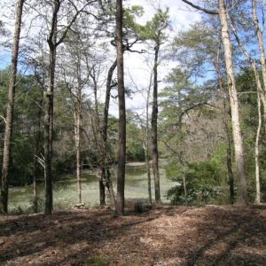 Photo #5 of Lot 1A WILSONIA SHORES DR, MACHIPONGO, VA 3.5 acres