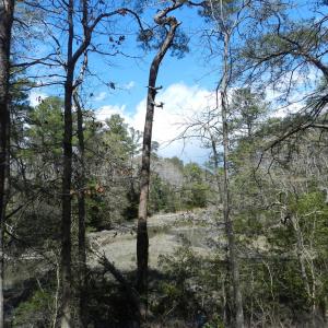 Photo #6 of Lot 1A WILSONIA SHORES DR, MACHIPONGO, VA 3.5 acres