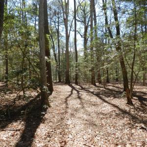 Photo #7 of Lot 1A WILSONIA SHORES DR, MACHIPONGO, VA 3.5 acres