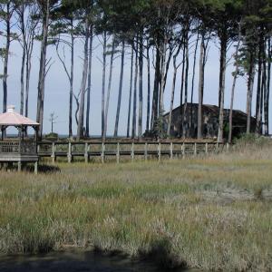 Photo #11 of Lot 1 PEACEFUL LAKES DR, EXMORE, VA 5.6 acres