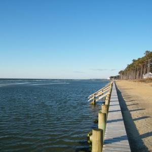 Photo #7 of Lot 1 PEACEFUL LAKES DR, EXMORE, VA 5.6 acres