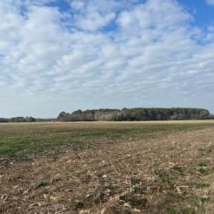 Photo #19 of C & D LANKFORD HWY, CAPE CHARLES, VA 17.1 acres