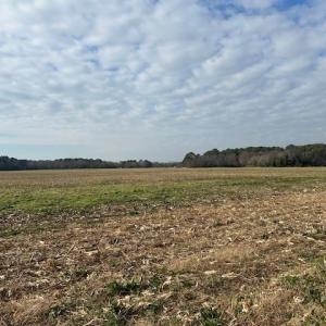 Photo #25 of C & D LANKFORD HWY, CAPE CHARLES, VA 17.1 acres