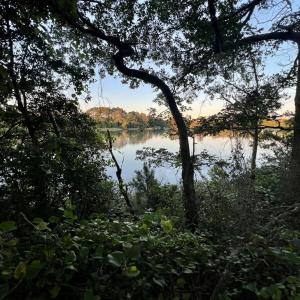 View from the shoreline